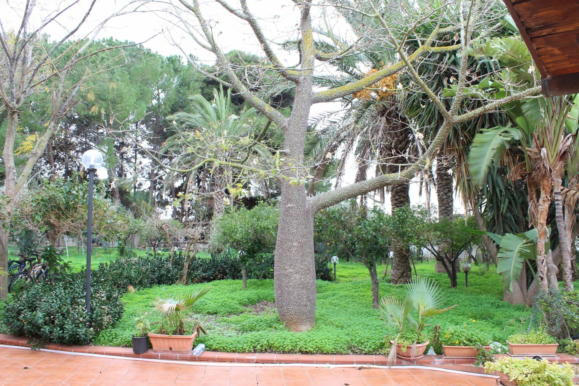 Villa Delle Nifee Mazara del Vallo Eksteriør billede